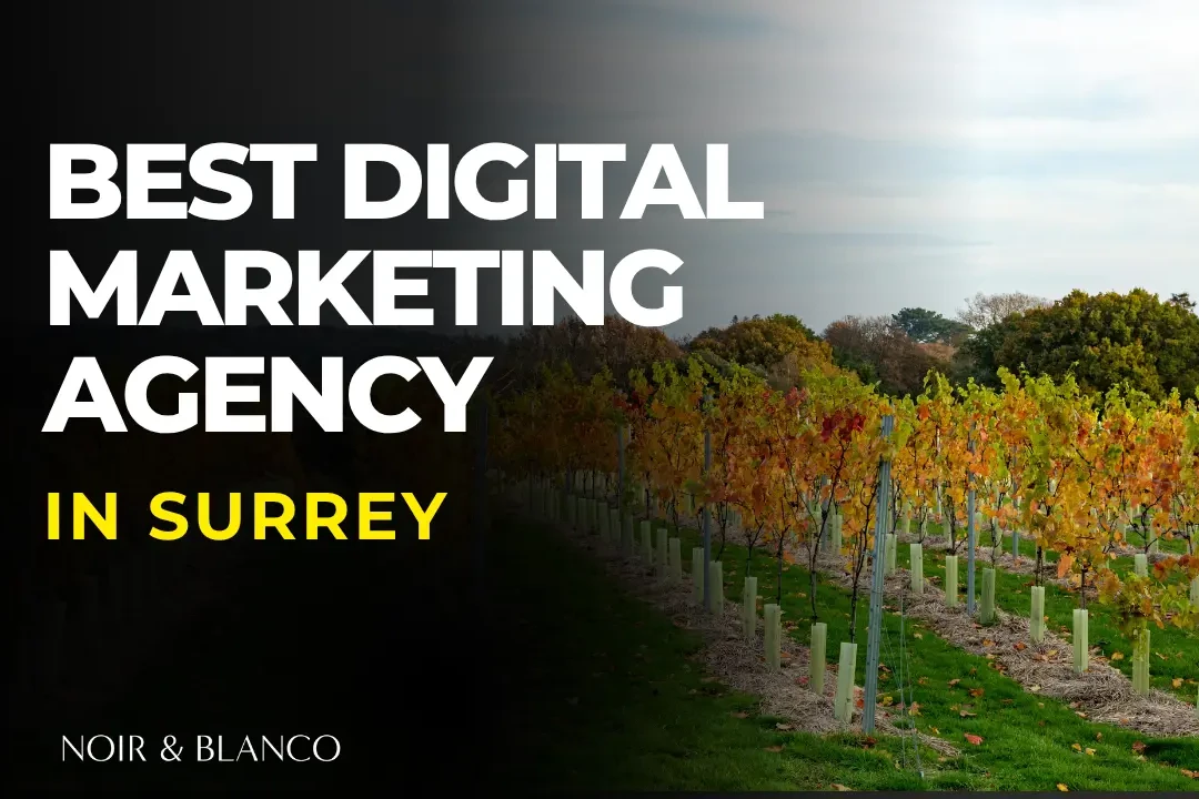 digital marketing agency in surrey